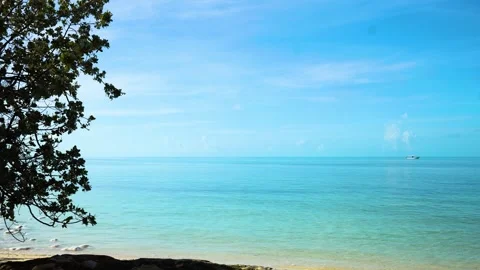 Tropical White Sand Beach and Turquoise Ocean Under Clear Blue Sky Stock Footage 344796862
