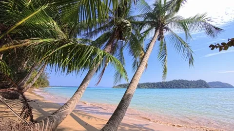 Tropical white sand beach with coconut palm trees and turquoise water Thailand 库存影片 330934099