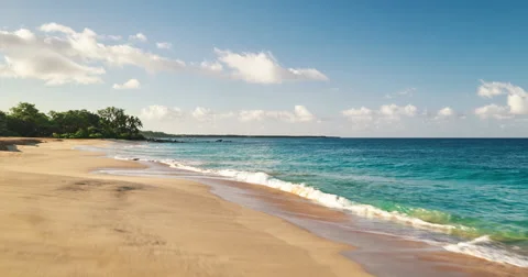 Tropical White Sand Beach Stock Footage 63511043