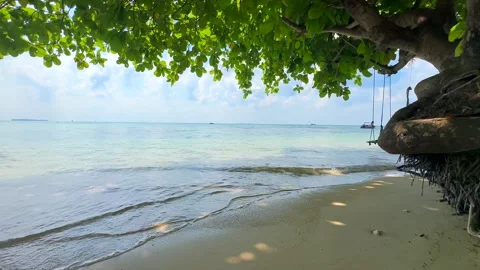 Tropical White Sand Beach Stock Footage 338015332