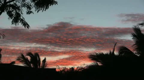 Tropical windy sunset Stock Footage 11315528