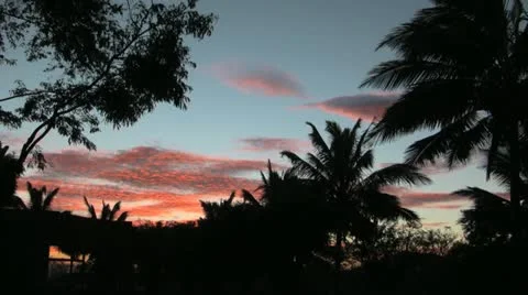 Tropical windy sunset part 2 Stock Footage 11315701