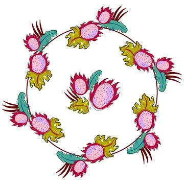 Tropical  wreath, frame. Vector decor, doodle style. Pitaya Stock Illustration