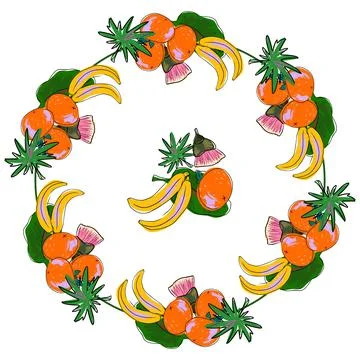 Tropical  wreath, frame. Vector decor, doodle style. Tangerines and bananas Stock Illustration