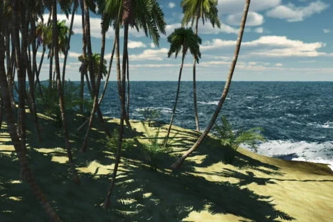 TropicalBeach 08 2997 Stock Footage 69420