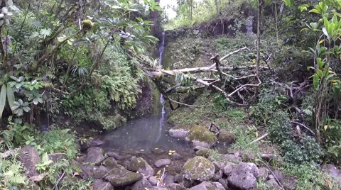 TropicalFalls Video stock 64458363