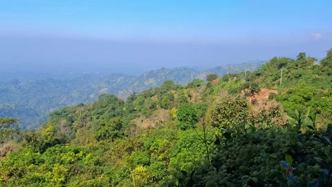 Tropicalforestlandscapewithmountainsindistance Vídeo Stock 330466866