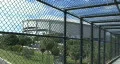 The Tropicana Dome In St Petersburg 03 HD Footage