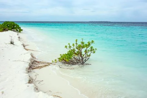 Tropics beautiful beach Stock Photos