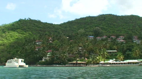 Tropics Stock Footage 486226