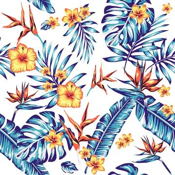 Tropics Pattern spring summer background with tropical flowers palm Stock Illustration