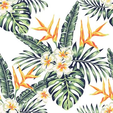 Tropics Pattern spring summer background with tropical flowers palm Stock Illustration