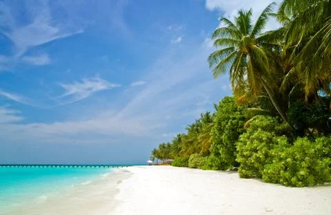 Tropischer strand Stock Photos