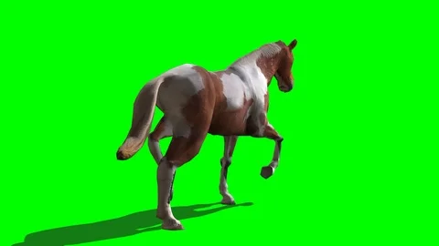 TROTED HANDMADE HORSE Stock Footage 113205925