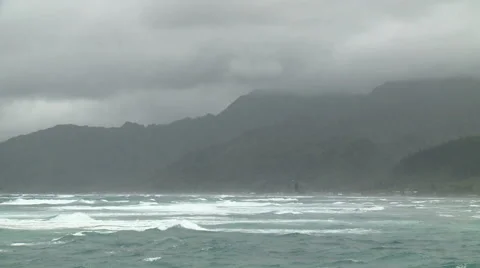 Trouble in Paradise Stock Footage 54709384