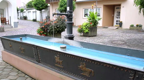 Trough for horses. Stock Footage 41550733