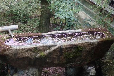 A trough made of stone Stock Photos