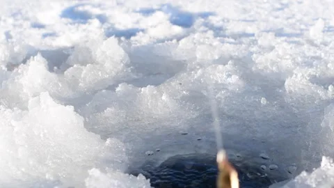Trought on ice, close up of ice hole fishing line and brown trout Stock Footage 265603022