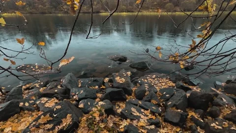 Trought the river Stock Footage 225649239