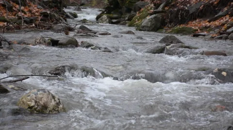 Trout creek in winter Stock Footage 68999080