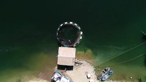 Trout Farming Stock Footage 340275389