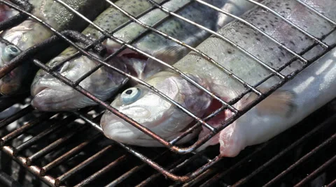 Trout fish on grill Stock Footage 36778914