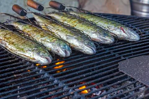 Trout fish on grill Stock Photos