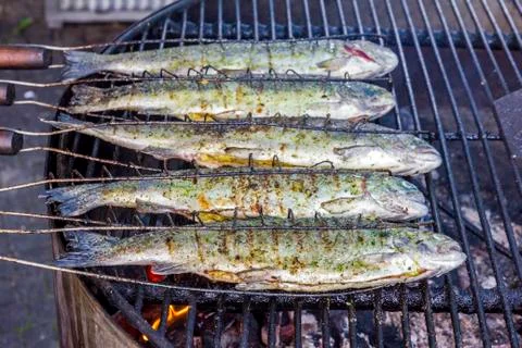 Trout fish on grill Stock Photos