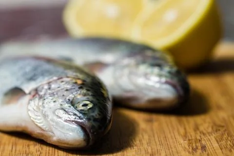 Trout fish Stock-Fotos