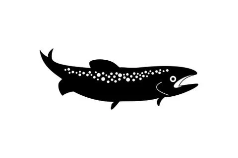 Trout Fish Vector Stock Illustration
