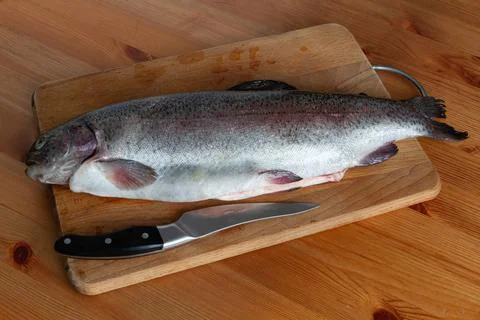Trout lying on a cutting board in the kitchen Stock Photos