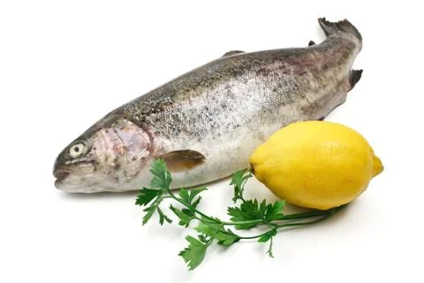 Trout over white Stock Photos