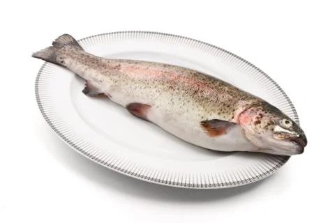Trout on a plate Fotos de archivo