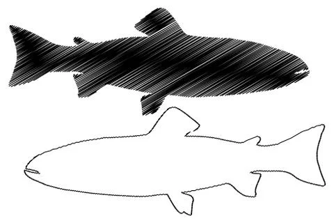 Trout silhouette vector Stock Illustration