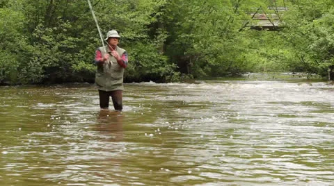 Trout stream Stock Footage 25053210