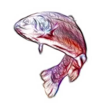 Trout swimming Ilustração Stock
