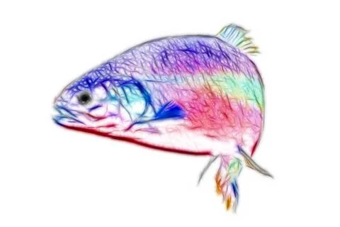 Trout swimming Ilustração Stock