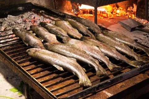 Trouts ready to be cooked. Stock Photos
