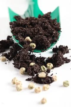 Trowel, soil and seeds Stock Photos