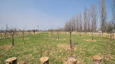 Trucca park Bergamo Stock Footage 236564080
