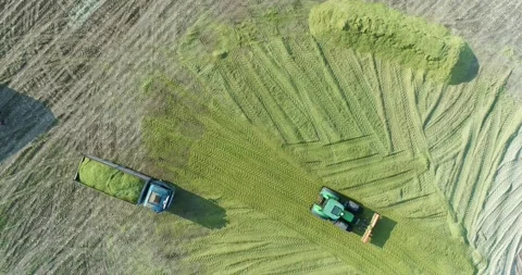 Truck and tractor in the process of preparing maize silage Stockbeeldmateriaal 158060191