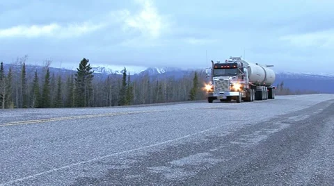 Truck Approaching Black Bear Walking off YT Highway Stock Footage 10939645