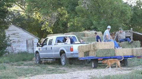 Truck arrive hay stack P HD 7870 Stock Footage 858753