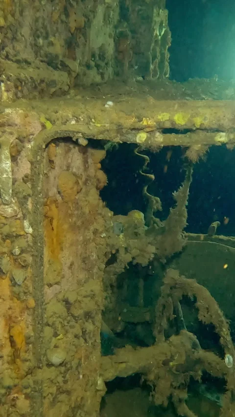 Truck cab lying inside hold of wreck Salem Express ferry, Slow motion Stock Footage 328200674