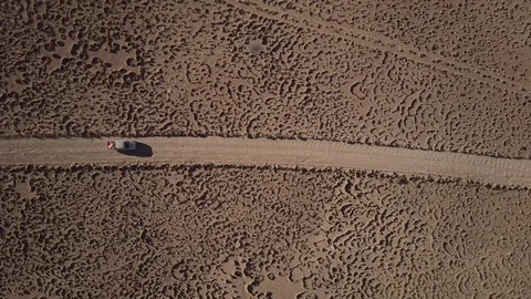 Truck drives through odd shaped plants from above Stock Footage 83403672