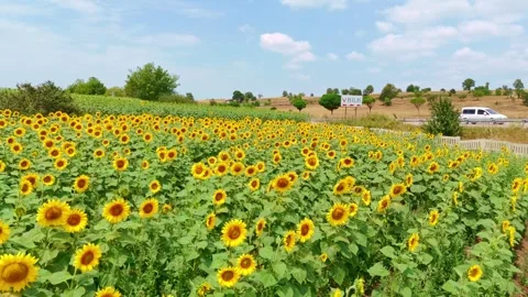 A truck driving down a. Stock Footage 284679486