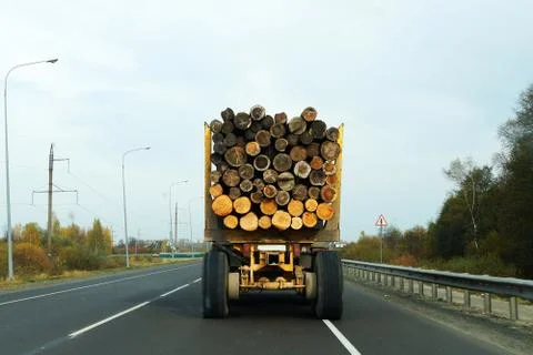 A truck on the highway carries logs Stock Photos