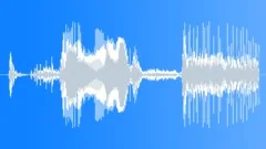 Truck Land Rover Sound Effect