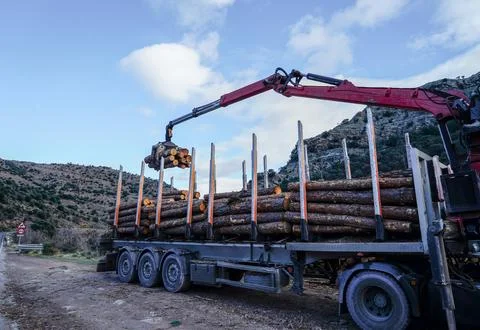 Truck loading timber logs with crane in san cabras Photos