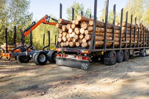 Truck loading wood in the forest. Loading logs onto a logging truck. Portab.. Stock Photos